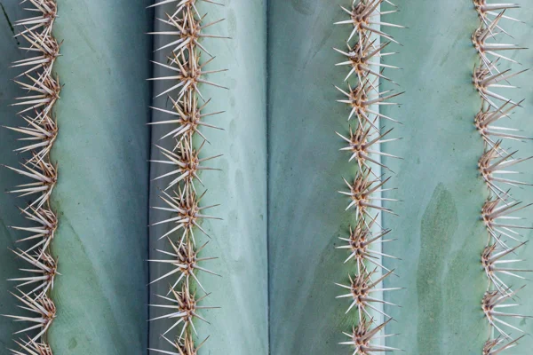 Adobestock 266218958