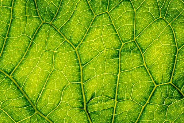 Adobestock 525621503